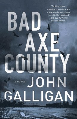 John Galligan - Bad Axe County, Häftad