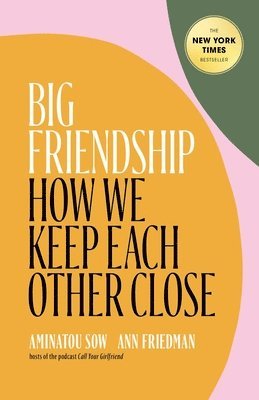 bokomslag Big Friendship