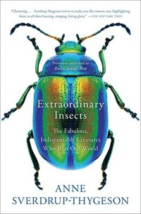 bokomslag Extraordinary Insects