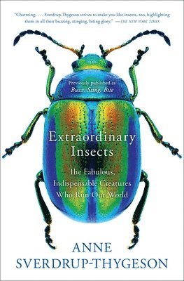 Extraordinary Insects 1