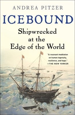 bokomslag Icebound: Shipwrecked at the Edge of the World