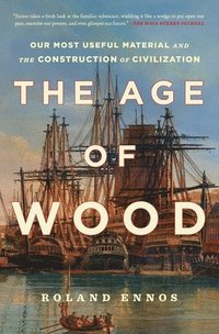 bokomslag Age Of Wood