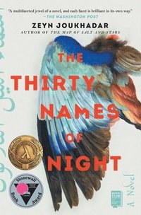 bokomslag The Thirty Names of Night