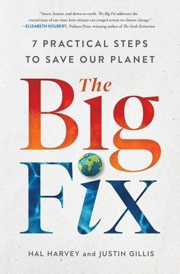 The Big Fix 1