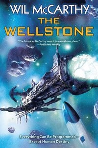 bokomslag Wellstone