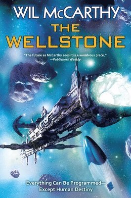 bokomslag Wellstone