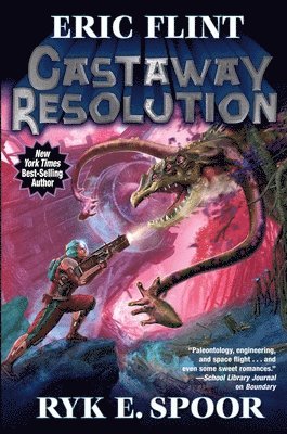 bokomslag Castaway Resolution