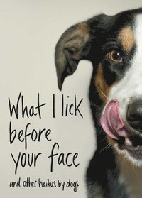 bokomslag What I Lick Before Your Face: And Other Haikus by Dogs