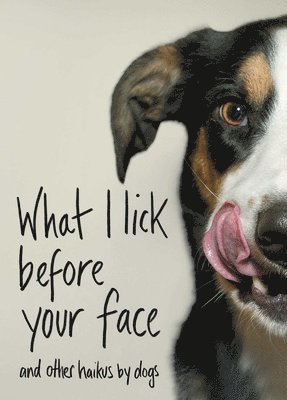 bokomslag What I Lick Before Your Face: And Other Haikus by Dogs
