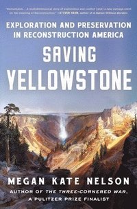 bokomslag Saving Yellowstone: Exploration and Preservation in Reconstruction America