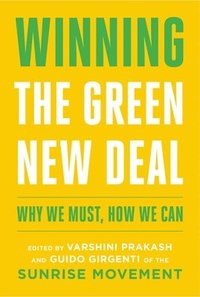 bokomslag Winning The Green New Deal