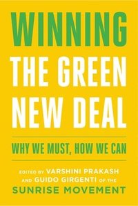 bokomslag Winning the Green New Deal