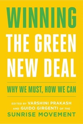 bokomslag Winning the Green New Deal: Why We Must, How We Can