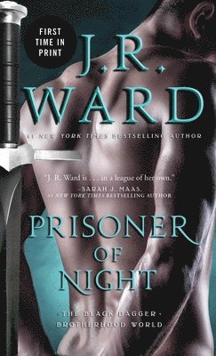 bokomslag Prisoner of Night