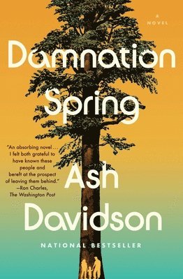 bokomslag Damnation Spring