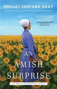 bokomslag An Amish Surprise