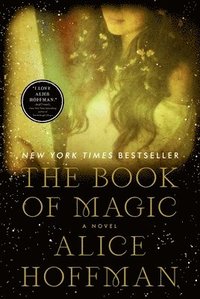 bokomslag The Book of Magic (Practical Magic 2)