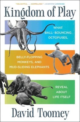 Kingdom of Play: What Ball-Bouncing Octopuses, Belly-Flopping Monkeys, and Mud-Sliding Elephants Reveal about Life Itself 1