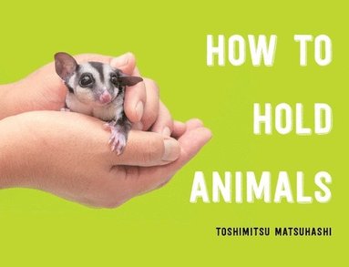 bokomslag How to Hold Animals