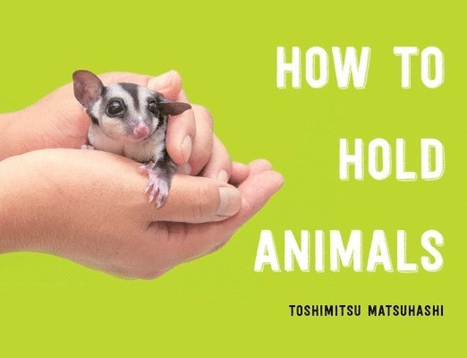 How To Hold Animals 1