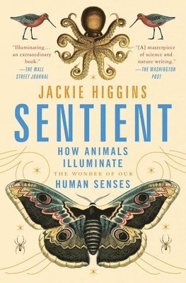 bokomslag Sentient: How Animals Illuminate the Wonder of Our Human Senses