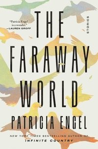 bokomslag The Faraway World