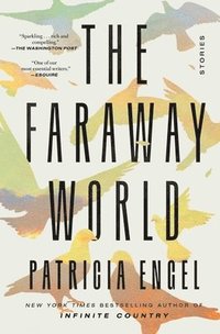 bokomslag Faraway World