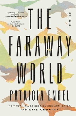 bokomslag Faraway World