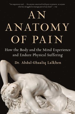 bokomslag An Anatomy of Pain