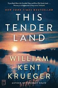 bokomslag This Tender Land: A Novel