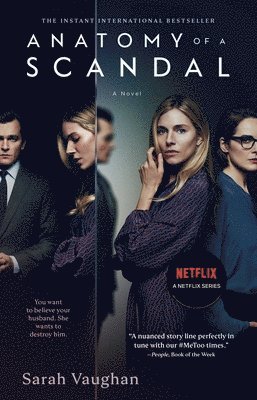 bokomslag Anatomy of a Scandal