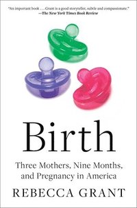 bokomslag Birth: Three Mothers, Nine Months, and Pregnancy in America