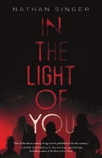 bokomslag In the Light of You