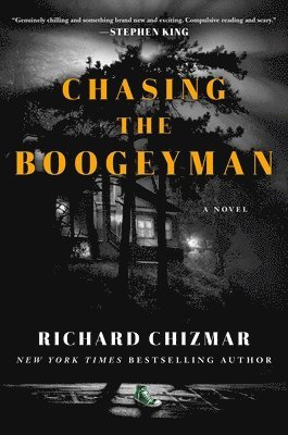 bokomslag Chasing The Boogeyman