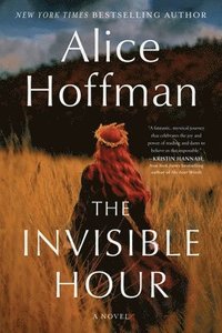 bokomslag The Invisible Hour