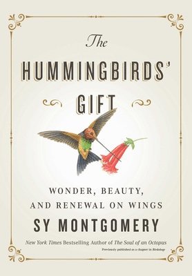 bokomslag Hummingbirds' Gift