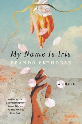 Brando Skyhorse - My Name Is Iris, Inbunden