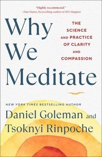 bokomslag Why We Meditate