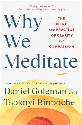 Why We Meditate 1