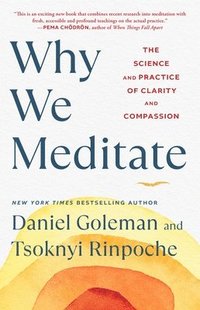 bokomslag Why We Meditate: The Science and Practice of Clarity and Compassion