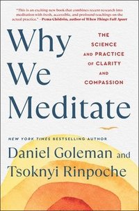 bokomslag Why We Meditate: The Science and Practice of Clarity and Compassion