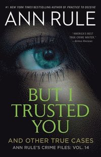 bokomslag But I Trusted You