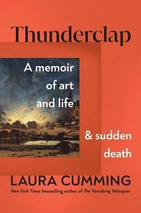 bokomslag Thunderclap: A Memoir of Art and Life and Sudden Death