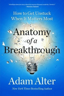 bokomslag Anatomy of a Breakthrough