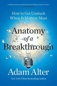 bokomslag Anatomy Of A Breakthrough