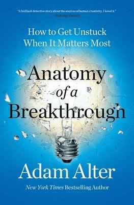 bokomslag Anatomy of a Breakthrough
