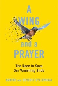 bokomslag A Wing and a Prayer