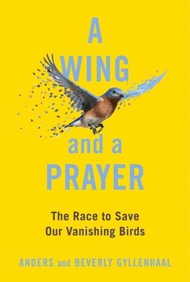 bokomslag Wing And A Prayer