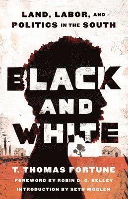 bokomslag Black and White: Land, Labor, and Politics in the South