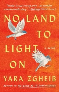 bokomslag No Land to Light on